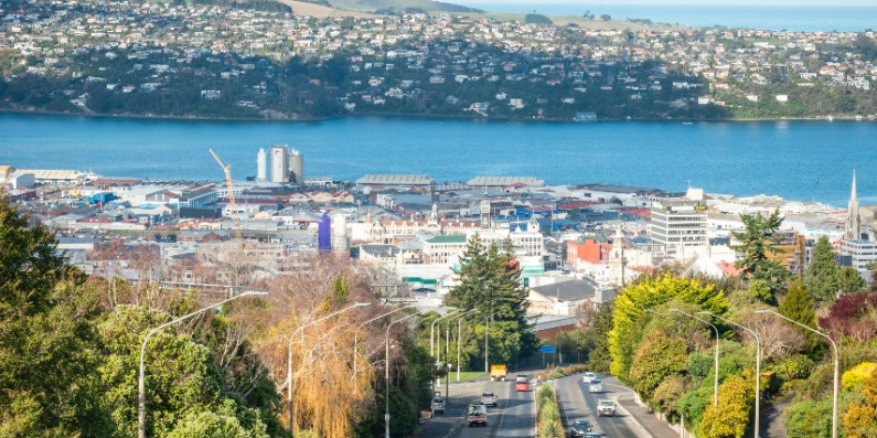 Image showing Dunedin harbour with a road in the foreground, the city, the harbour and houses in a hill in the background.