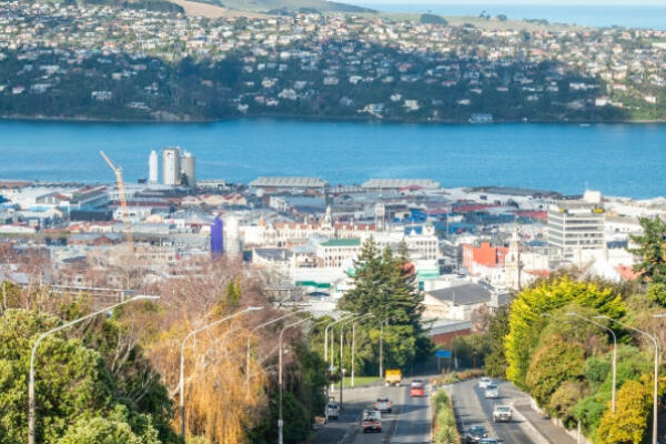 Image showing Dunedin harbour with a road in the foreground, the city, the harbour and houses in a hill in the background.